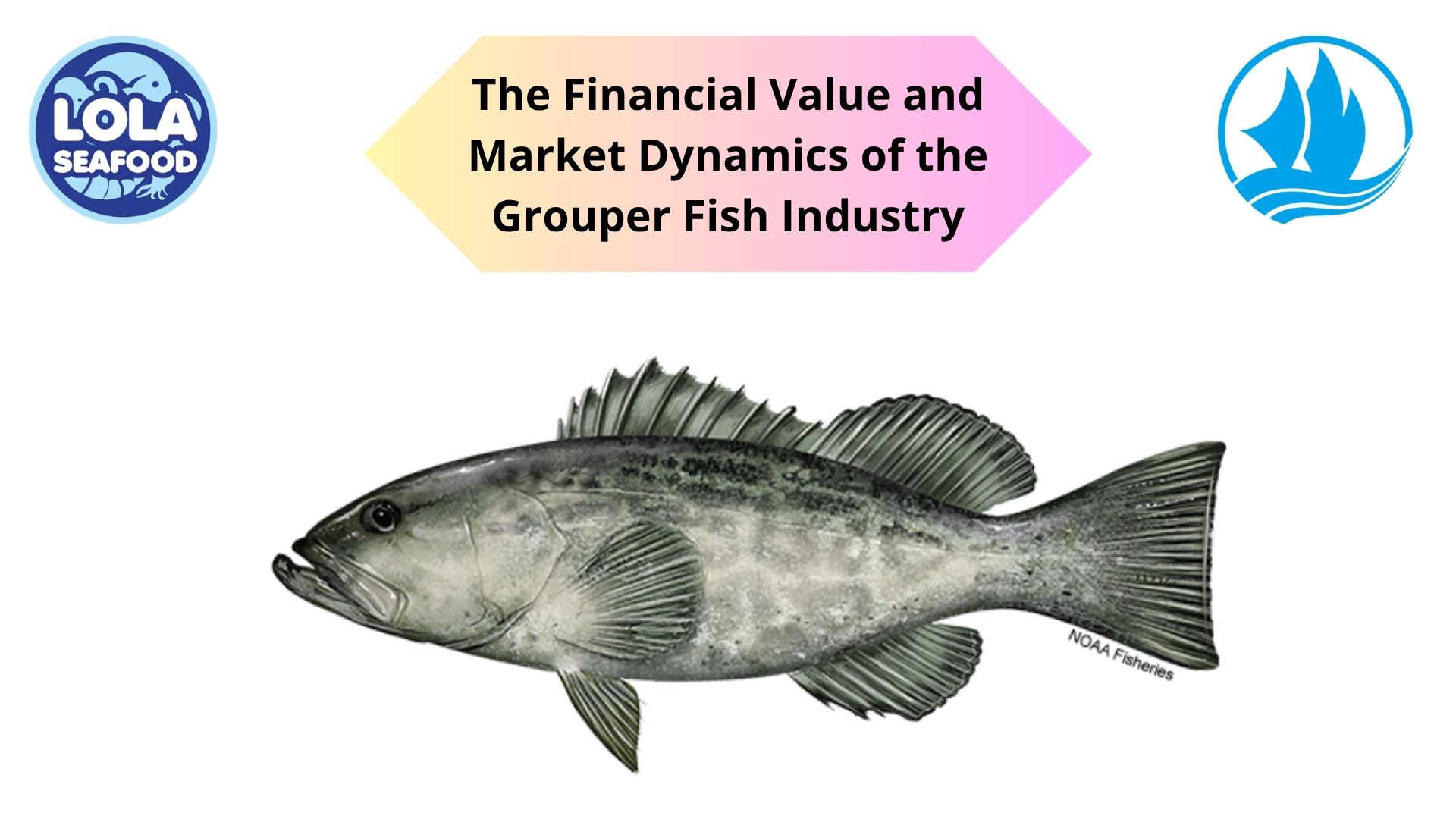The Financial Value and Market Dynamics of the Grouper Fish Industry